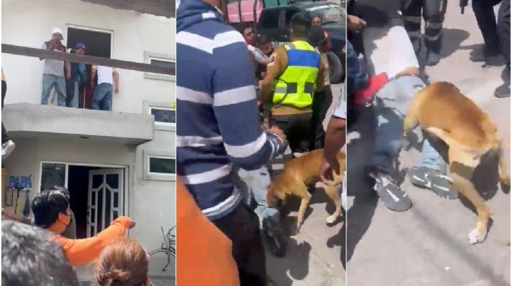 [VIDEO] Vecinos linchan y perro muerde a ladrón en Tecamachalco