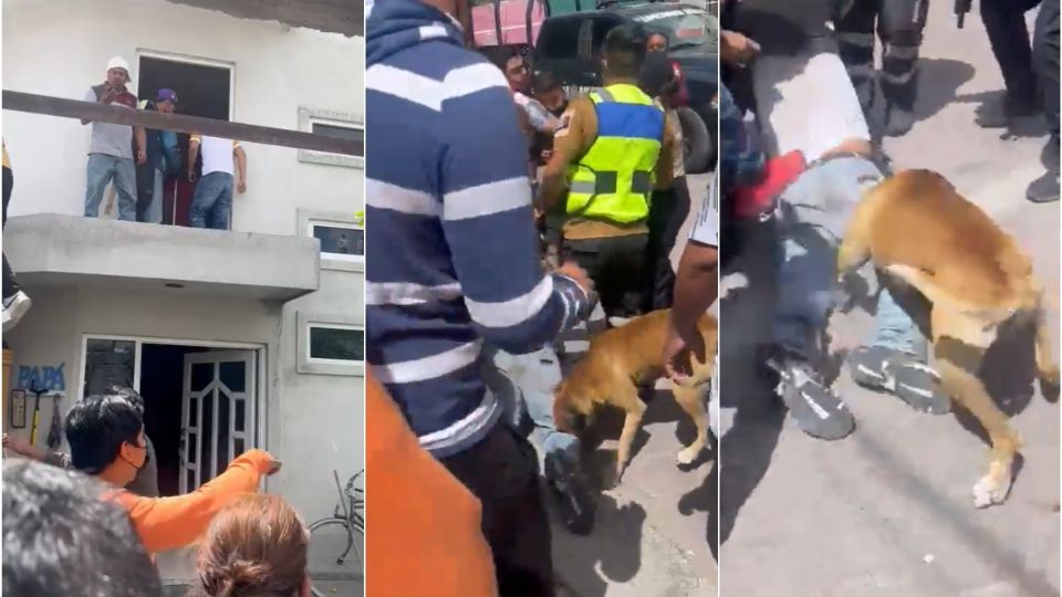 No se ha brindado información sobre algún castigo al perro que mordió a ladrón en Tecamachalco. (Fuente: Redes sociales)