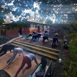 Darán clases de yoga GRATUITAS en parques de CDMX durante octubre