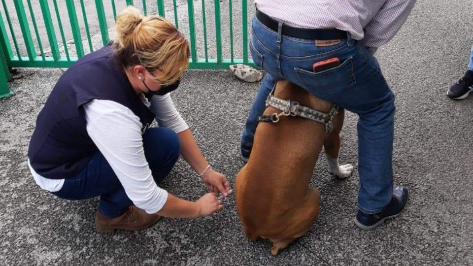 (Fuente: Secretaría de Salud CDMX)