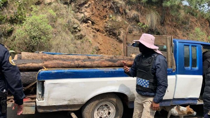 Detienen a seis talamontes con madera ilegal en Tlalpan