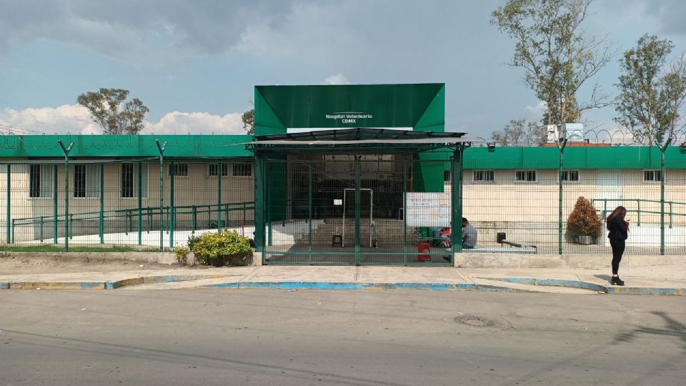 El Hospital Veterinario de CDMX recibirá a estudiantes de Veracruz para servicio social. FOTO: Sedema