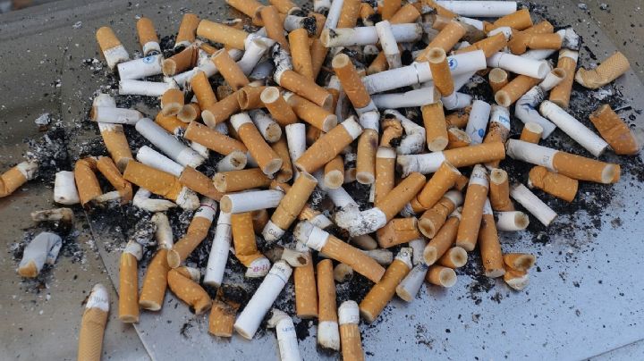 Colillatón en la Cuauhtémoc, recolecta y entrega colillas de cigarro