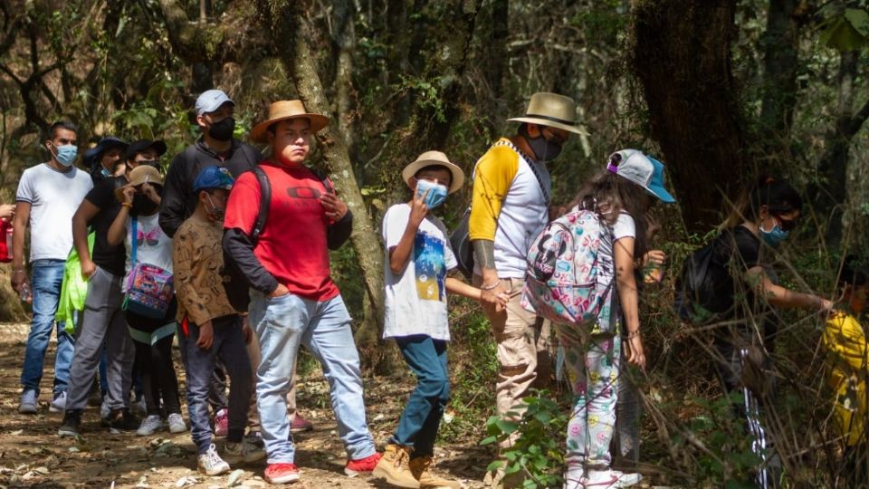 Las áreas naturales de CDMX tienen preparadas actividades para toda la familia estas vacaciones. FOTO: Sedema