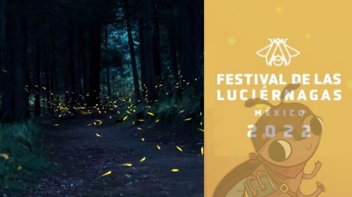 Festival de las Luciérnagas 2022 llegará a Tlalpan este 8 y 9 de julio