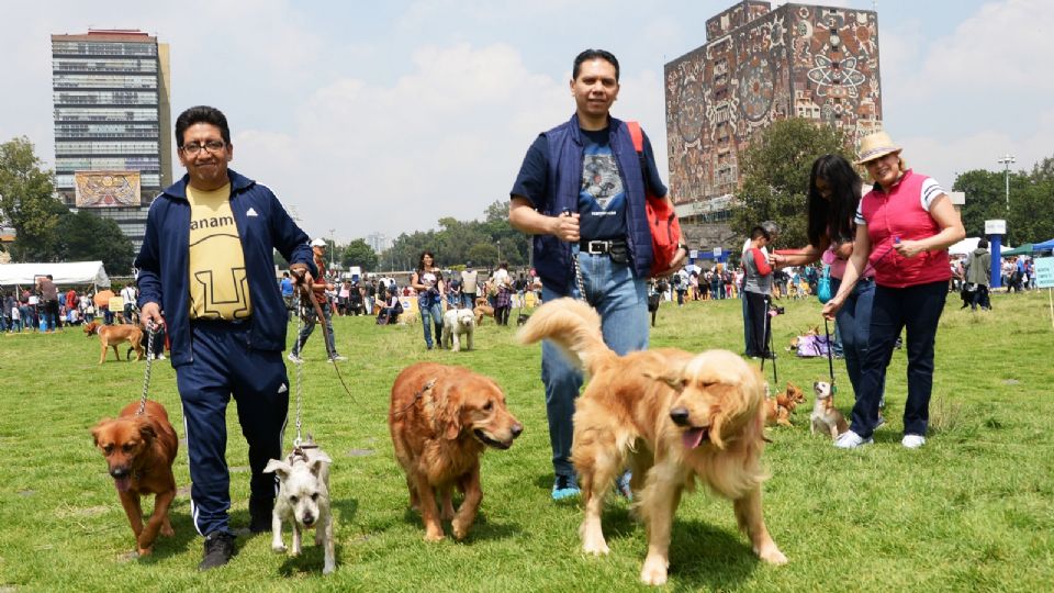 La jornada de mascotas en CU serpa el 20 de agosto. FOTO: tomada de SDP Noticias