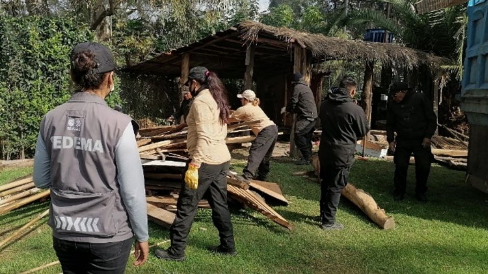 De acuerdo a la Sedema, la recuperación de tierras en Xochimilco se habría debido a que su invasión generaba daños ambientales. (Fuente: Sedema CDMX)