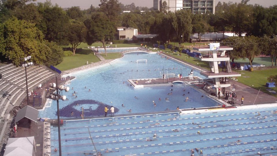 Las clases de natación de la UNAM son en la alberca de CU. FOTO: UNAM