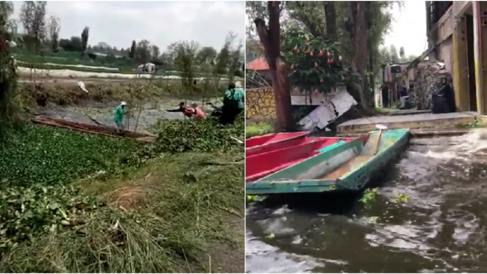 El sismo causó que el agua de los canales de Xochimilco se agitara de un lado a otro. (Fuente: Twitter/@saragb22)