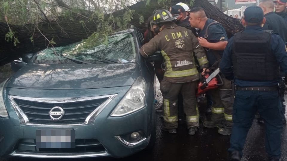 Además de un vehículo particular, una combi resultó afectada por la caída del árbol de 15 metros en Ignacio Zaragoza. (Fuente: Bomberos CDMX)