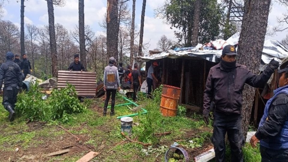 La Secretaría de Medio Ambiente desplegó un operativo con más de 150 personas para recuperar un kilómetro cuadrado del 'Parque El Tepozán' en Tlalpan. (Fuente: Sedema CDMX)