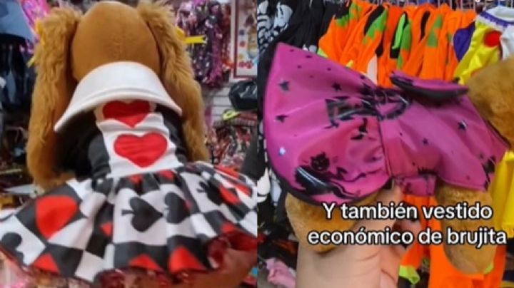 Esta es la tienda del Centro de la CDMX donde encontrarás disfraces de Halloween para tu mascota