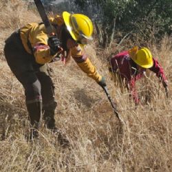 SEDEMA y alcaldía Iztapalapa colaboran en Programa de Manejo para Bosque Urbano Tepepolco