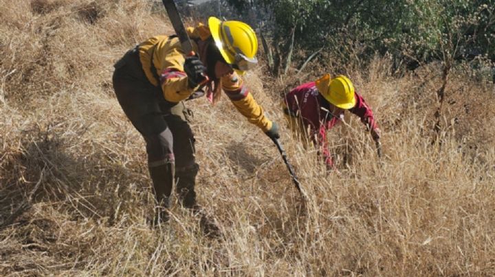 SEDEMA y alcaldía Iztapalapa colaboran en Programa de Manejo para Bosque Urbano Tepepolco