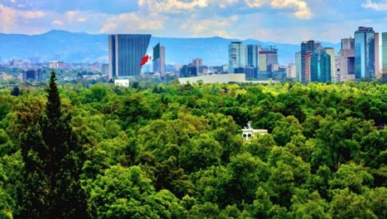 SEDEMA pone a disposición de la ciudadanía proyecto para manejo del Bosque de Chapultepec