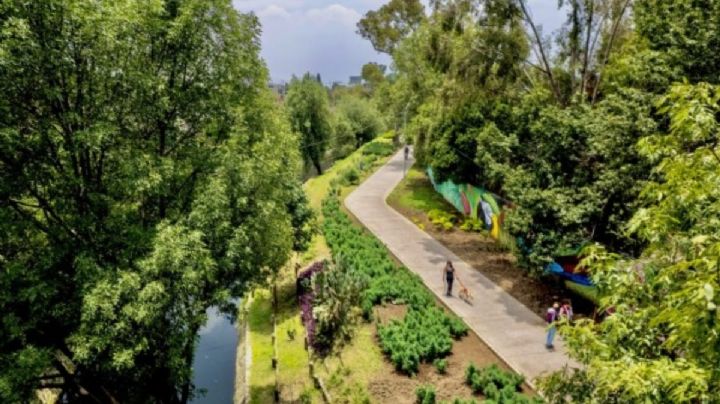 Llega el primer "BioFest: Festival por la Naturaleza en CDMX"; checa cuándo y dónde será