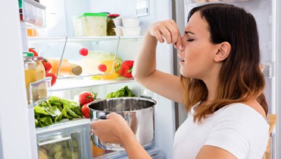 ¿Quitar el mal olor del refrigerador? Es posible con estos ingredientes caseros