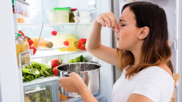 ¿Quitar el mal olor del refrigerador? Es posible con estos ingredientes caseros