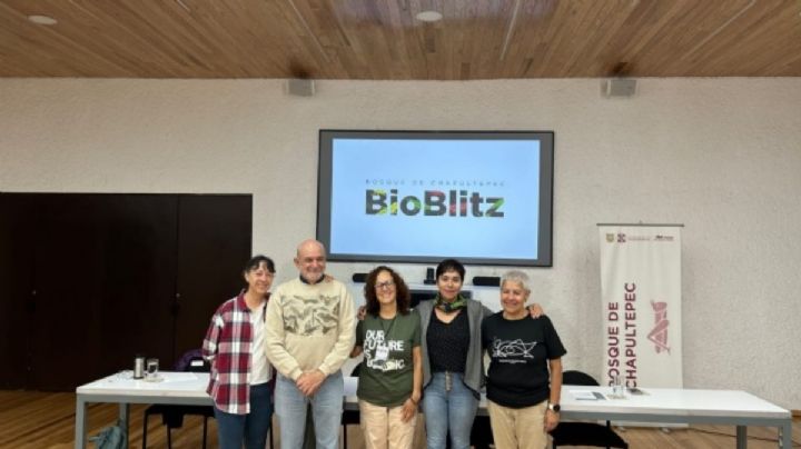 SEDEMA y UNAM presentan "BioBlitz" para registro de diversas de especies en el Bosque de Chapultepec