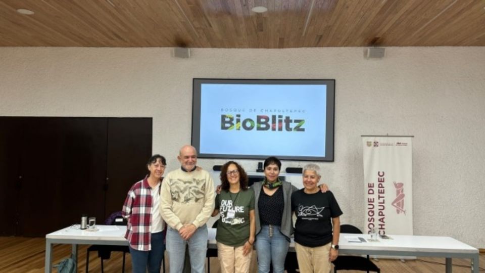 SEDEMA y UNAM presentan 'BioBlitz' para registro de diversas de especies en el Bosque de Chapultepec |