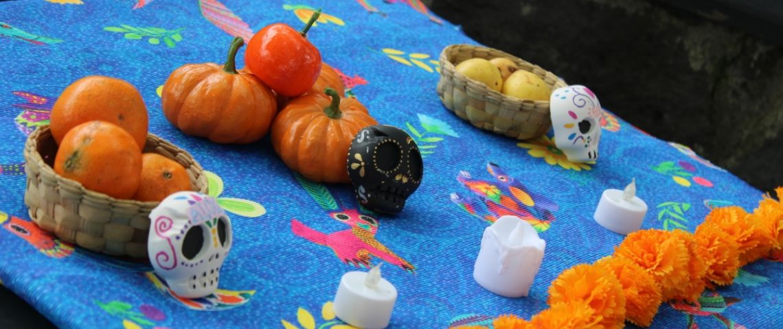 Día de Muertos: SEDEMA invita a actividades en el Museo de Historia Natural y Cultura Ambiental
