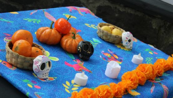 Día de Muertos: SEDEMA invita a actividades en el Museo de Historia Natural y Cultura Ambiental