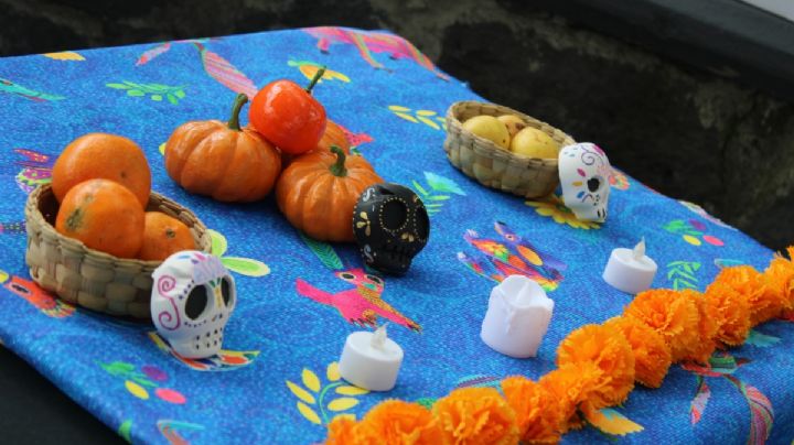 Día de Muertos: SEDEMA invita a actividades en el Museo de Historia Natural y Cultura Ambiental