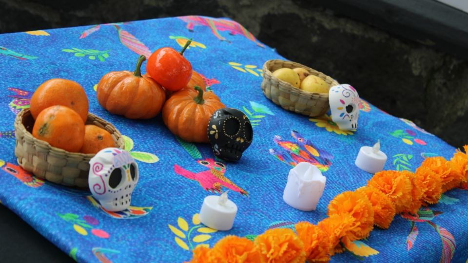 Día de Muertos: SEDEMA invita a actividades en el Museo de Historia Natural y Cultura Ambiental |