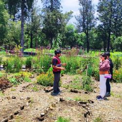 SEDEMA invita a celebrar el 61 aniversario del Museo de Historia Natural y Cultura Ambiental