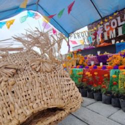Día de Muertos: Parque Ecológico de Xochimilco y Museo Chinampaxóchitl anuncian celebraciones