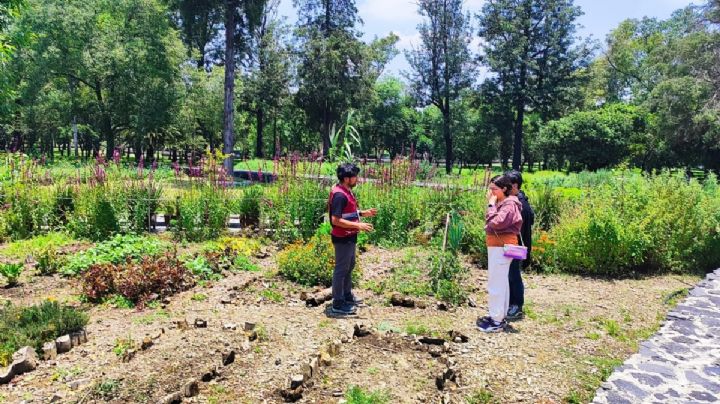 SEDEMA invita a celebrar el 61 aniversario del Museo de Historia Natural y Cultura Ambiental