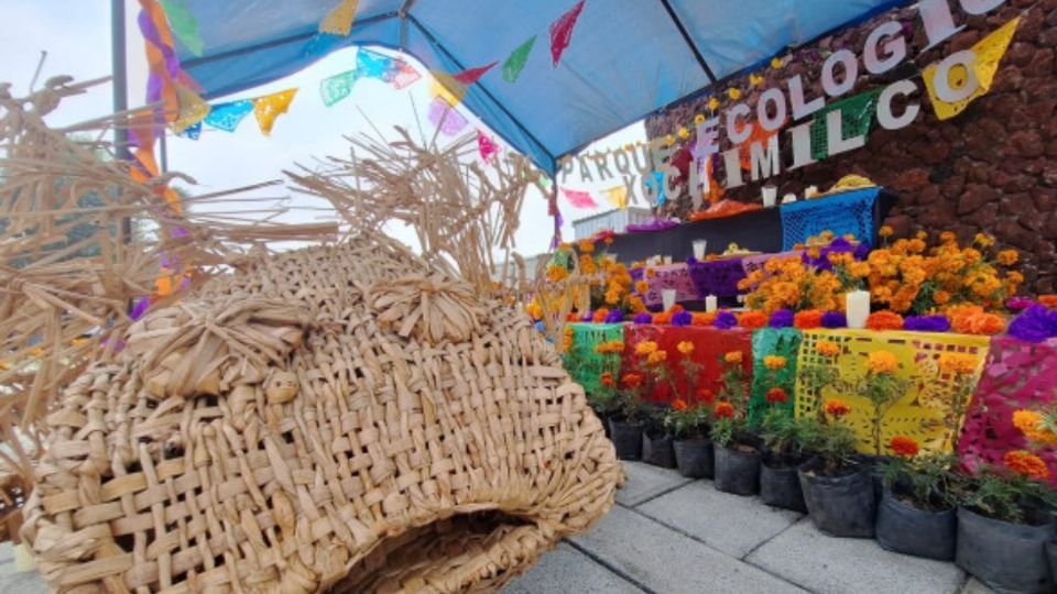 Día de Muertos: Parque Ecológico de Xochimilco y Museo Chinampaxóchitl anuncian celebraciones |