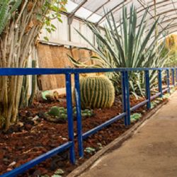 SEDEMA anuncia el Festival Biocultural de Muertos 2025 “Memoria viva de Xochimilco”