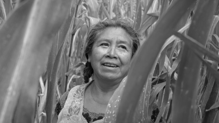 Muestra de Cine de Pueblos Indígenas y Afrodescendientes llega al Monumento a la Revolución