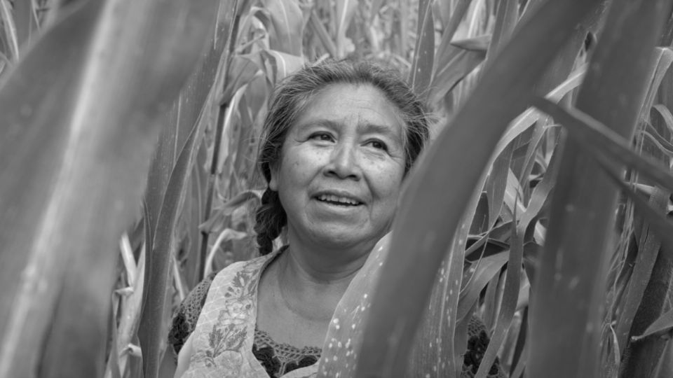 Muestra de Cine de Pueblos Indígenas y Afrodescendientes llega al Monumento a la Revolución |