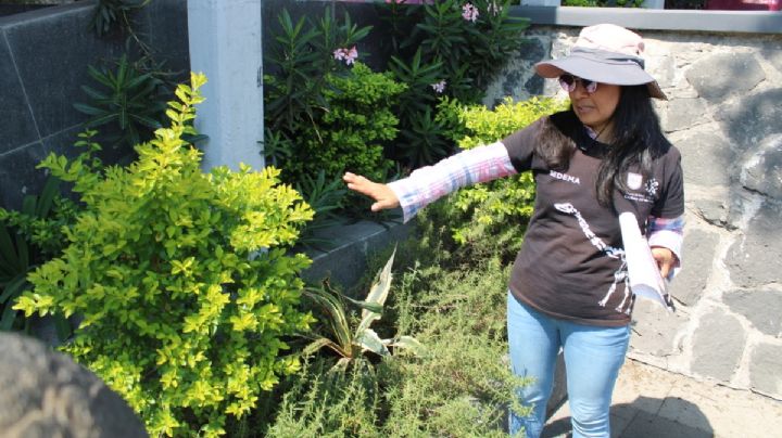 SEDEMA invita a próximas actividades GRATIS en el Museo de Historia Natural y CCA Chapultepec