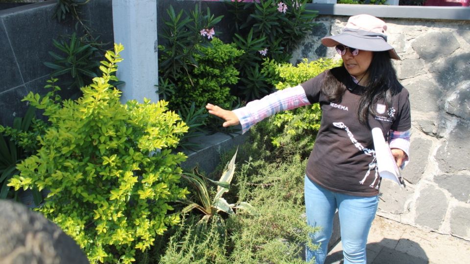 SEDEMA invita a próximas actividades GRATIS en el Museo de Historia Natural y CCA Chapultepec |