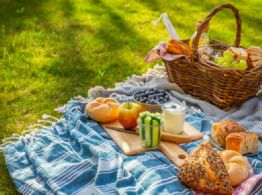 Picnic Nocturno llega al Centro de Cultura Ambiental Yautlica: Fecha y actividades