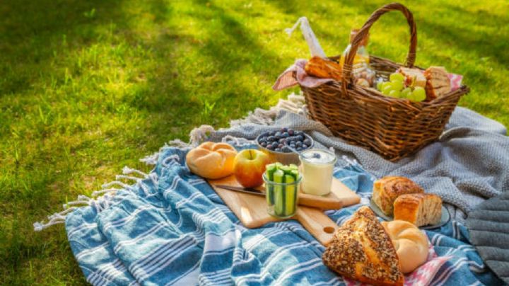 Picnic Nocturno llega al Centro de Cultura Ambiental Yautlica: Fecha y actividades