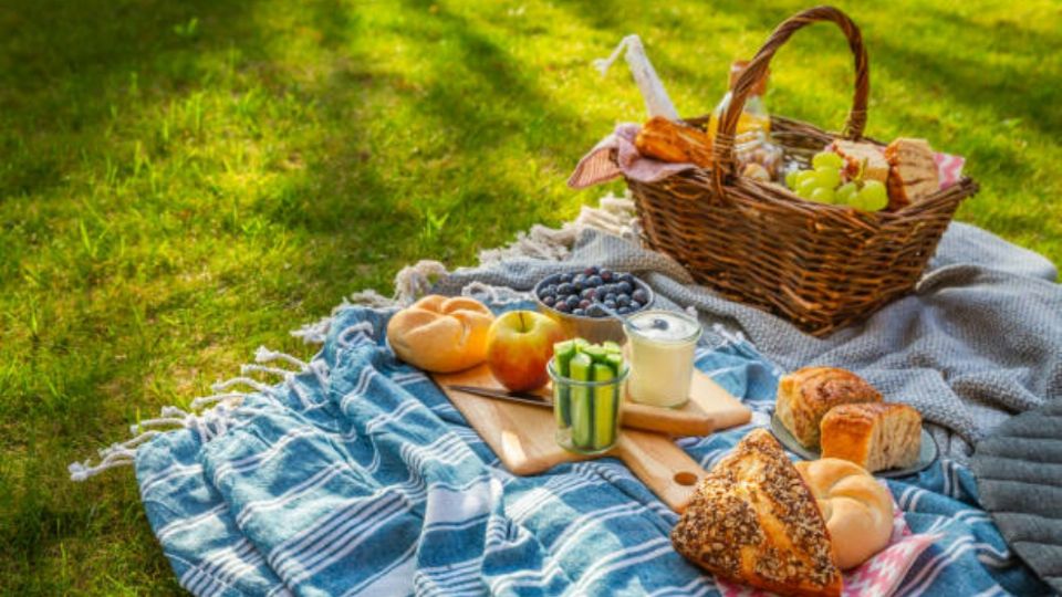 Picnic Nocturno llega al Centro de Cultura Ambiental Yautlica: Fecha y actividades |