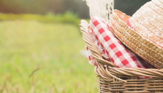 SEDEMA y Secretaría de Cultura CDMX invitan al Picnic Nocturno en Acuexcomatl, Xochimilco