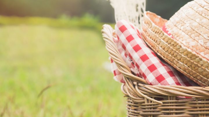 SEDEMA y Secretaría de Cultura CDMX invitan al Picnic Nocturno en Acuexcomatl, Xochimilco