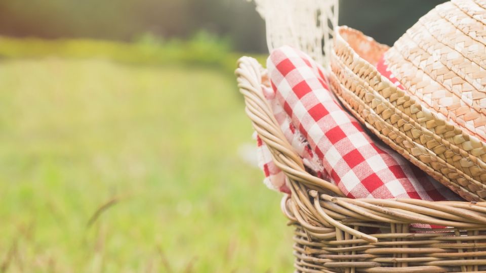 SEDEMA y Secretaría de Cultura CDMX invitan al Picnic Nocturno en Acuexcomatl, Xochimilco |