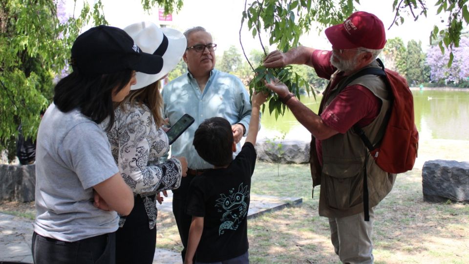 SEDEMA invita a programación de educación ambiental en el Museo de Historia y CCA Chapultepec |