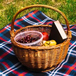 SEDEMA y Secretaría de Cultura CDMX anuncian próximo Picnic Nocturno en Acuexcomatl