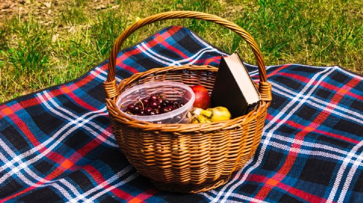 SEDEMA y Secretaría de Cultura CDMX anuncian próximo Picnic Nocturno en Acuexcomatl