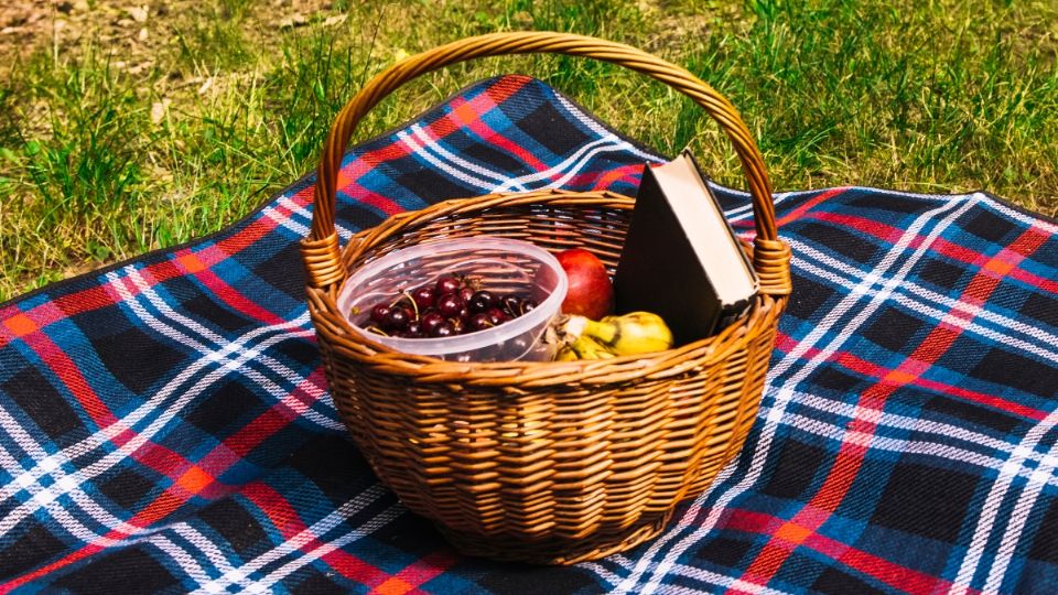 SEDEMA y Secretaría de Cultura CDMX anuncian próximo Picnic Nocturno en Acuexcomatl |