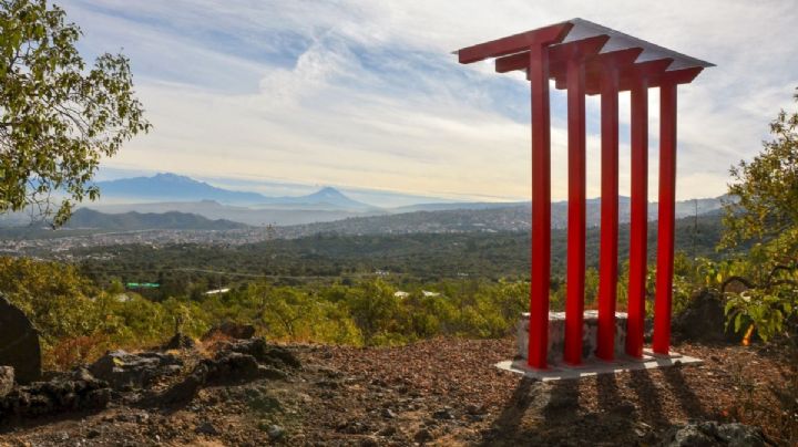 SEDEMA invita a recorridos guiados en el Parque Ecológico de la CDMX