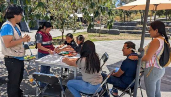 SEDEMA anuncia curso de verano infantil "Polinizadores: Los héroes invisibles del planeta"