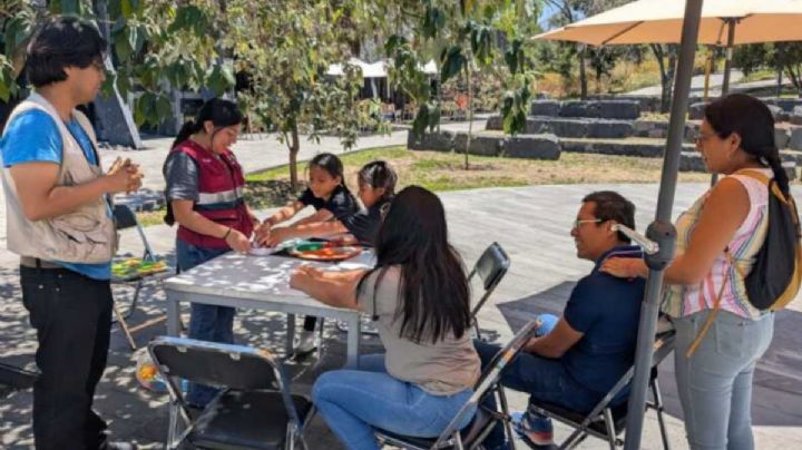 SEDEMA anuncia curso de verano infantil "Polinizadores: Los héroes invisibles del planeta"